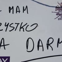 Woodstock 2015 autokreacja 10